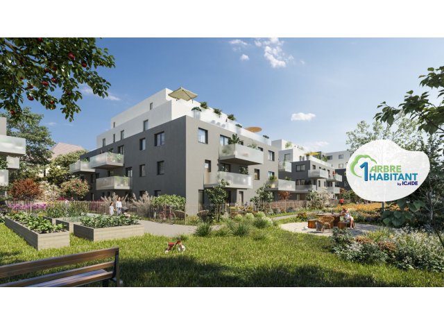 Investir programme neuf Urban Green Bischheim
