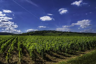 Une métropole innovante tournée vers l'avenir