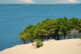 Réaliser un achat immobilier au pied de la Dune du Pilat au coeur du bassin d'Arcachon