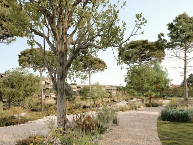 Le quartier des Combes à Antibes : un projet d'écohabitat intégré dans un parc méditerranéen, conçu pour favoriser les mobilités douces et la mixité.
