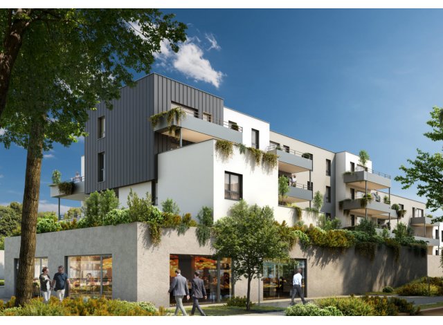 Investissement locatif  Vandoeuvre-ls-Nancy : programme immobilier neuf pour investir Le Sentier des Platanes  Florange