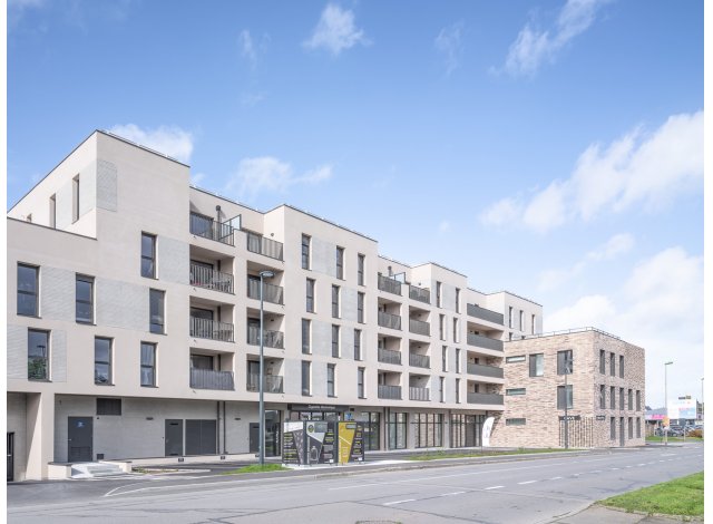 Immobilier neuf Terra  Liffre