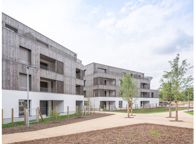 Logement cologique La-Chapelle-sur-Erdre