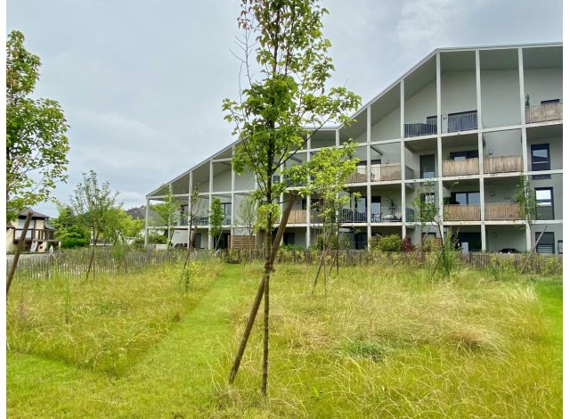 Programme immobilier neuf co-habitat Natur'Lodge  Reichstett