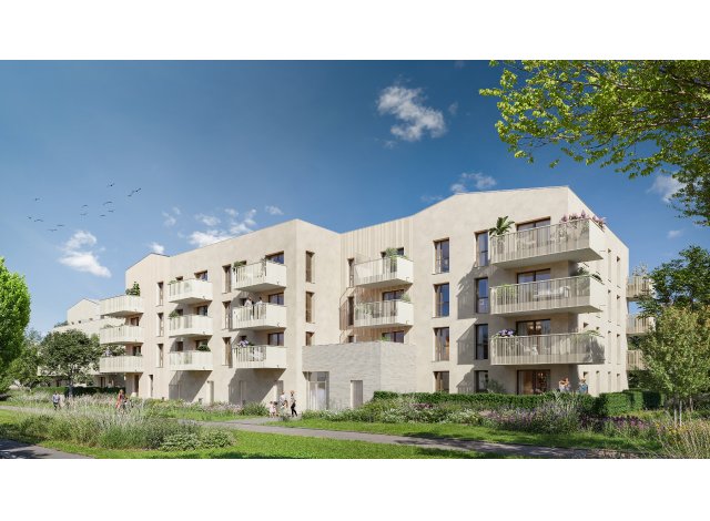 Programme immobilier neuf co-habitat Qadence  Lieusaint