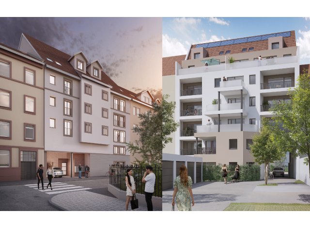 Investissement locatif  Ottersthal : programme immobilier neuf pour investir La Cour du Roy  Strasbourg