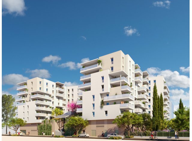 Sete Île BRS immobilier neuf