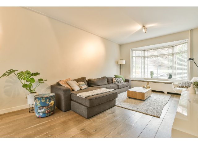 Immobilier loi PinelToulouse