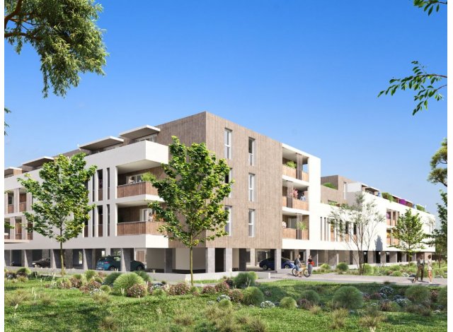 Projet immobilier Arles