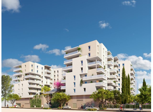 Projet immobilier Ste