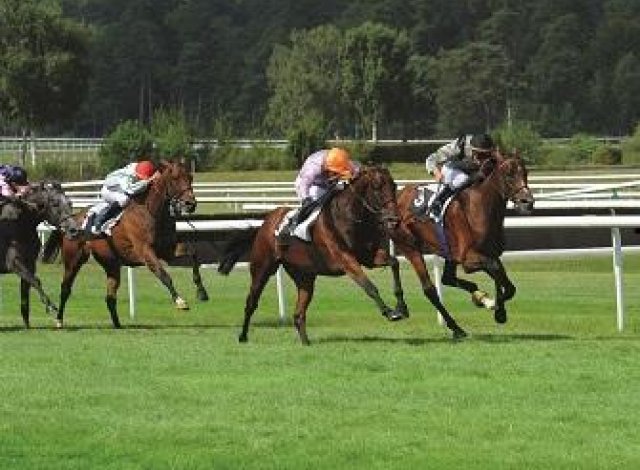 Acheter pour louer Nantes